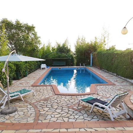 Cerseto 2 Bed and Breakfast Santa Domenica Talao Exteriör bild